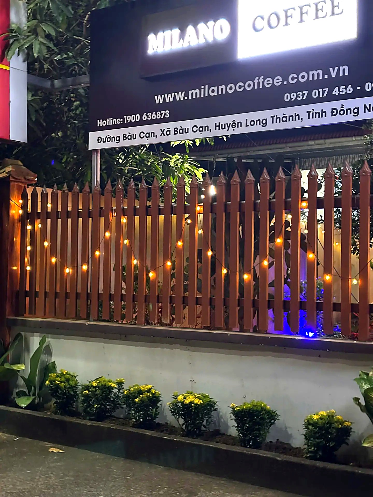 Bảng hiệu Milano Coffee sáng đèn bên hàng rào gỗ trang trí đèn dây buổi tối